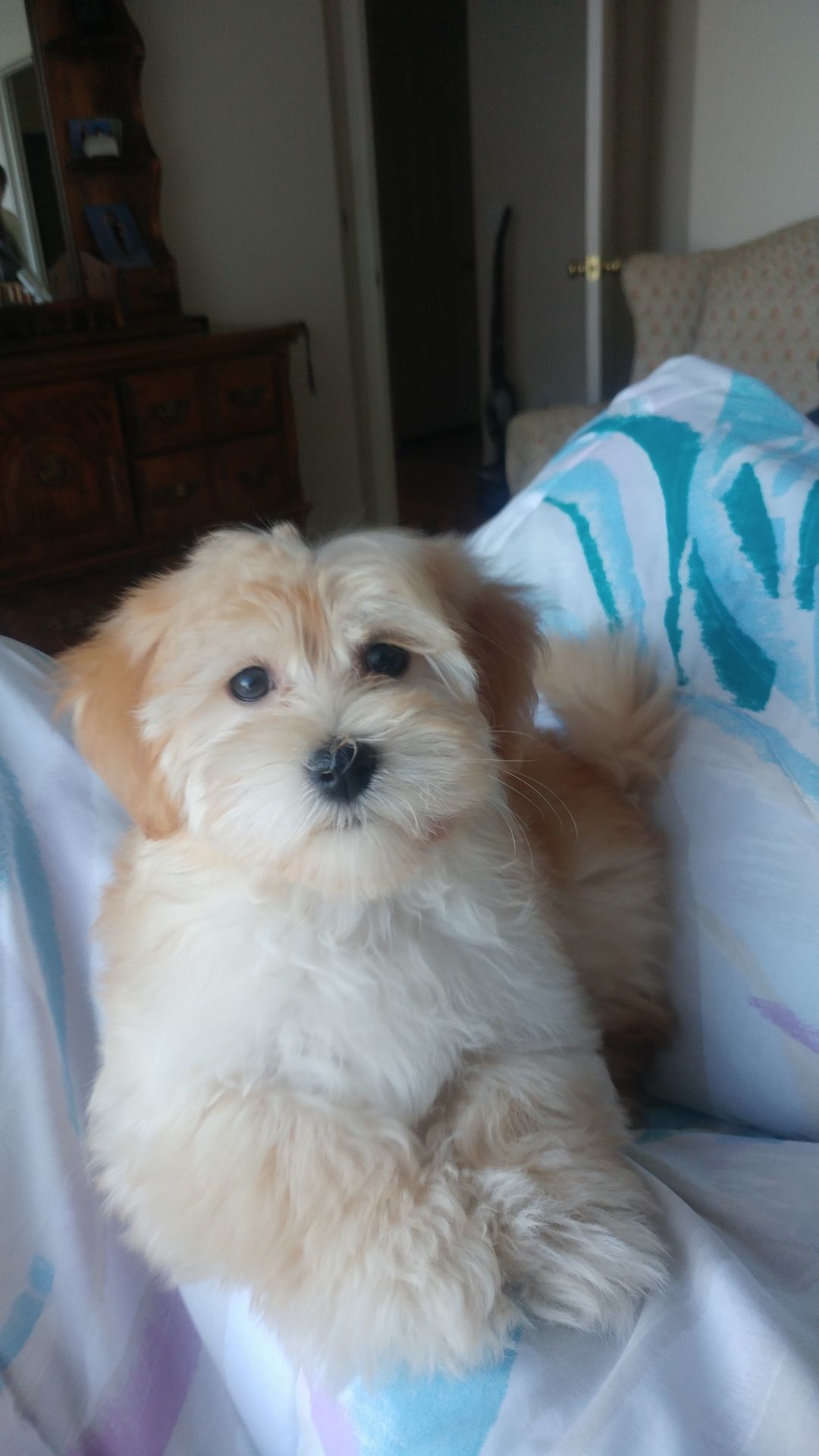 Sweetie
